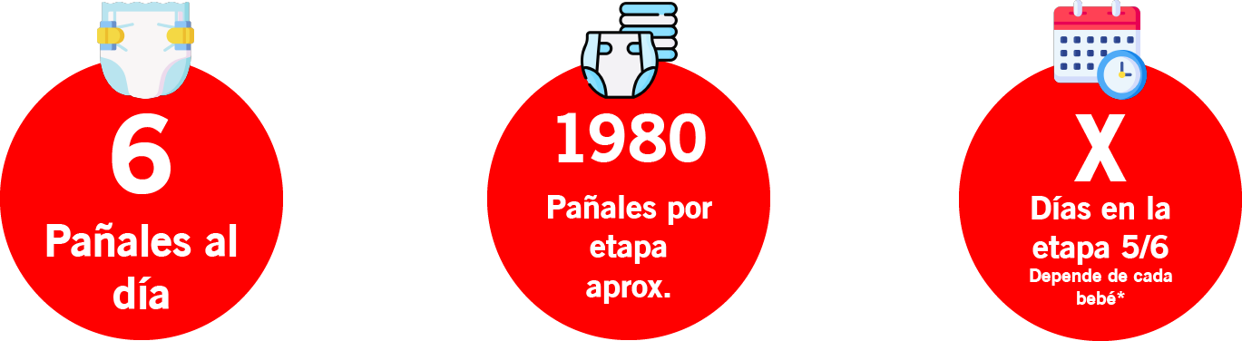 panales tallas