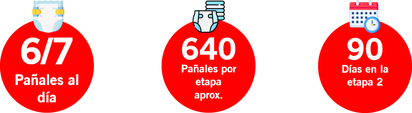 etapa 2 pañales