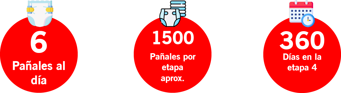 etapa 4 panales